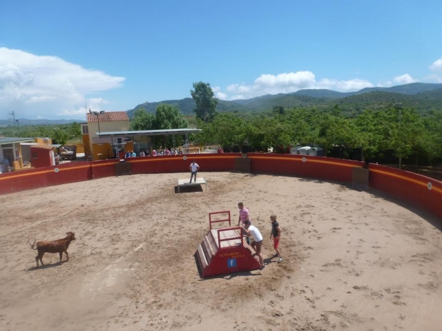  General view of the arena 
